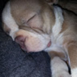 Meet your Posher, Sylina